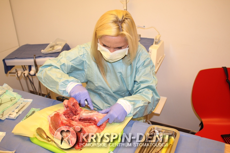 Profesjonalna Asysta w Implantologii - szkolenia dla Dentystów w Gdańsku - Kryspin-Dent