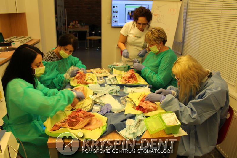 Od ekstrakcji do implantacji - szkolenia dentystyczne w Gdańsku - Kryspin Dent